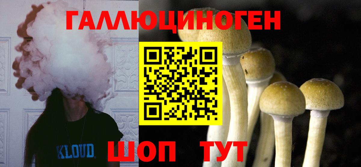 Выкса  Галлюциногенные грибы Psilocybe  Вход с VPN 