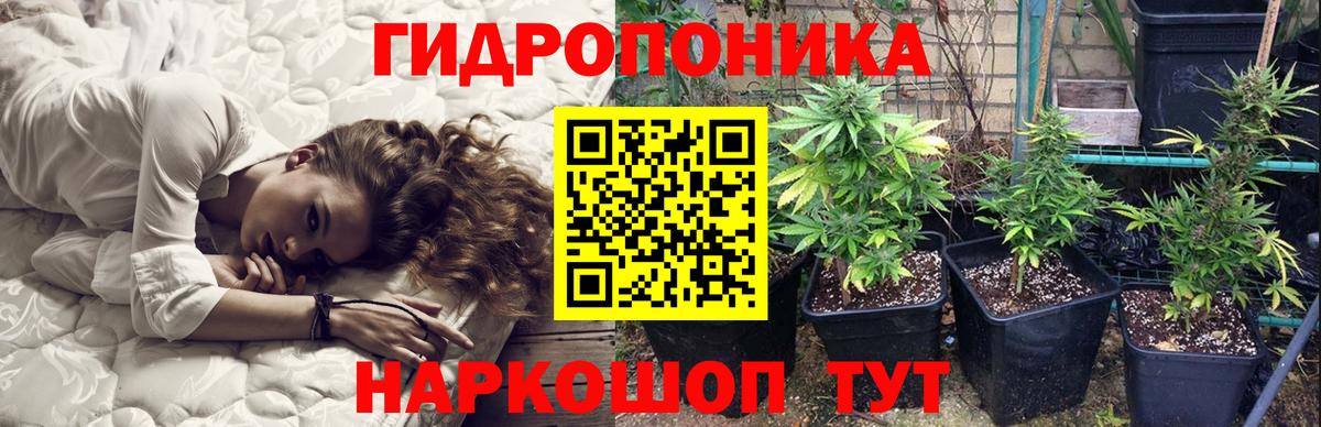 Конопля Bruce Banner Выкса